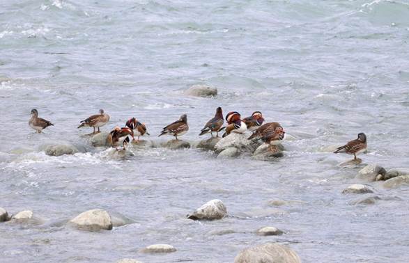 a305b9cdf3724f4bd477d8b3f8aeac3f