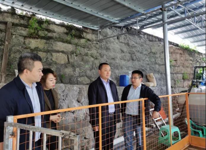 泸州市生态环境局局长陈进带队调研叙永县落卜镇废矿井涌水治理工作